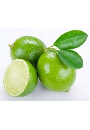 Limeta kwaśna lima limonka Lime Verde owocuje C1,5