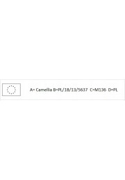 Camellia camelia kamelia różowa Dr King P9